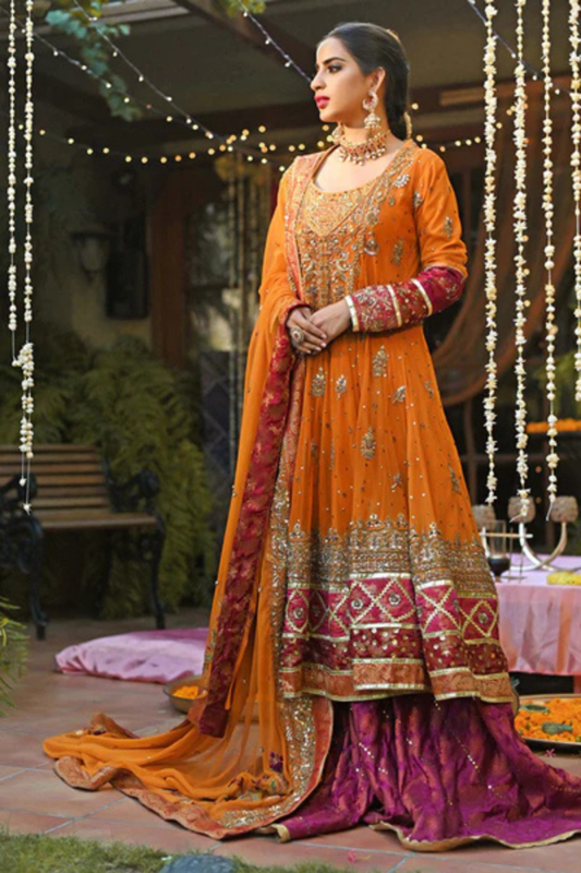 Picture of Noor Mahal