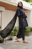 Picture of Binaco-RTD