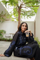 Picture of Binaco-RTD