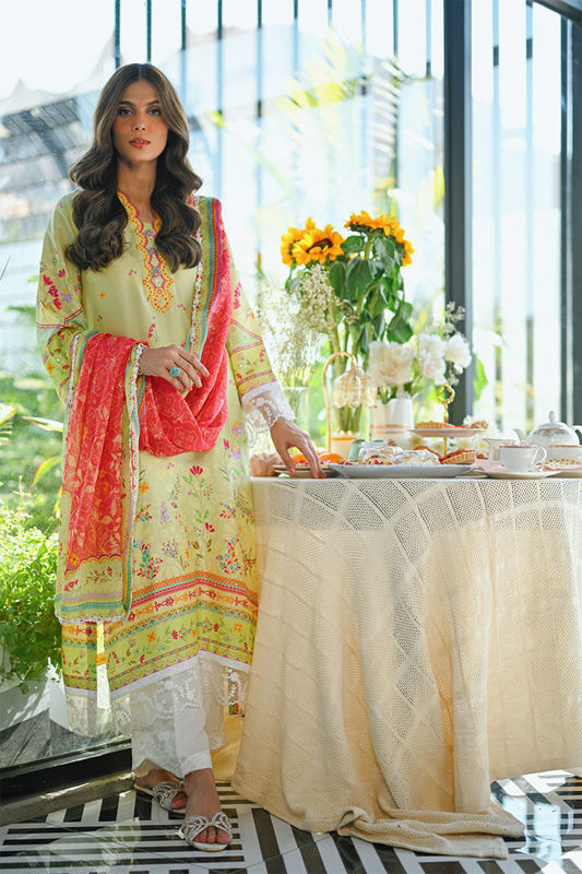 Picture of Mushq-RTD