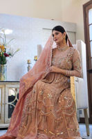 Picture of Aa-Ww-Tr-01