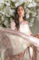 Picture of Ellesmere - Shirt And Dupatta