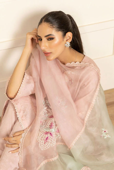 Rosa - Shirt And Shalwar