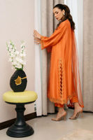 Picture of Nila - Shirt And Dupatta