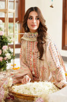 Picture of Samana-RTD