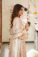 Picture of Samana-RTD