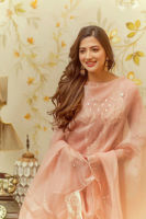 Picture of Salmon Pink