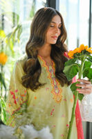 Picture of Mushq-RTD